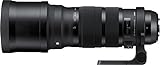 Sigma 137955 - Objetivo para Nikon (Distancia Focal 120-300mm, Apertura f/2.8-22, estabilizador) Color Negro