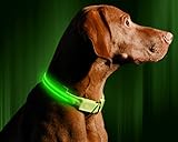 Illumiseen - Collar de Perro LED Recargable por USB, Disponible en 6 Colores y 6 tamaños