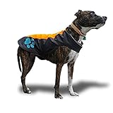 SafetyPUP XD Lluvia del Perro del Chaleco - Chaqueta del Perro a Prueba de Agua para Grandes y pequeños Perros. Naranja Gran
