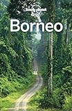 Lonely Planet Borneo (Travel Guide) (English Edition)