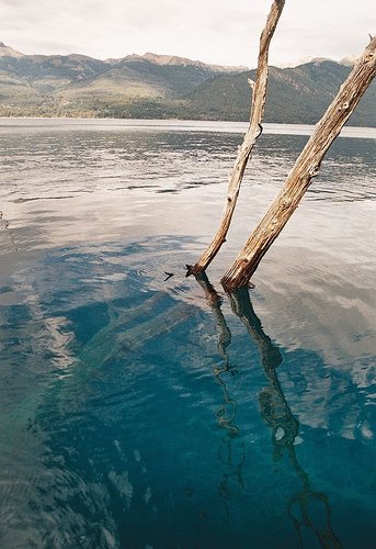 Lago traful - bosque sumergido de la patagonia