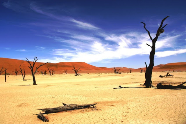 Deadvlei - Cementerio de áboles desecados en Namibia