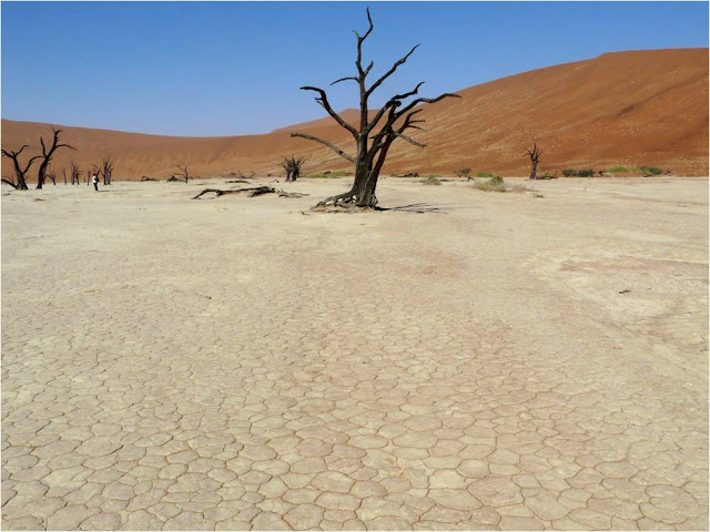 Deadvlei - Cementerio de áboles desecados en Namibia
