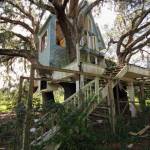 Casa del árbol abandonada en Florida
