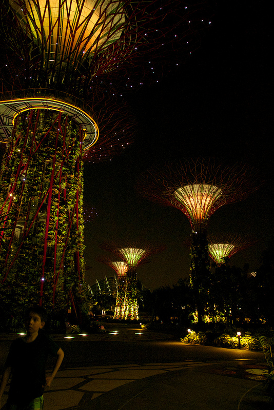 Los súper árboles de Singapur 2