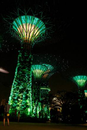 Los súper árboles de Singapur en verde