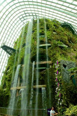 Waterfall in the Cloud Forest Dome at the Gardens by the Bay in Singapore