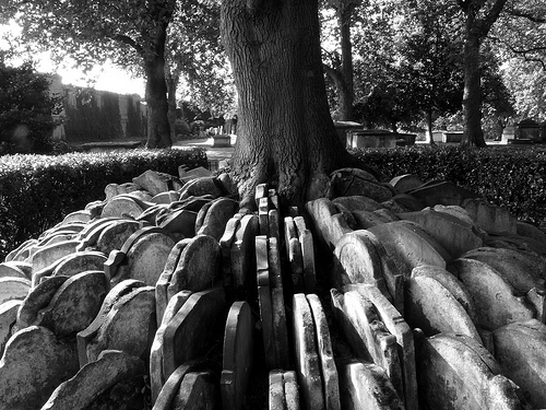 Gravestones around a tree (Hardy Tree), St Pancras Old Church, London