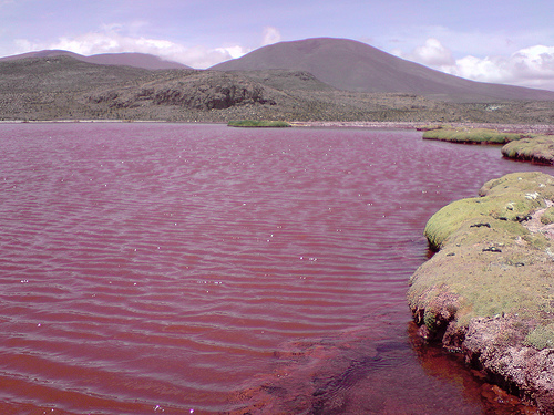 La Misteriosa Laguna Roja de Chile 1