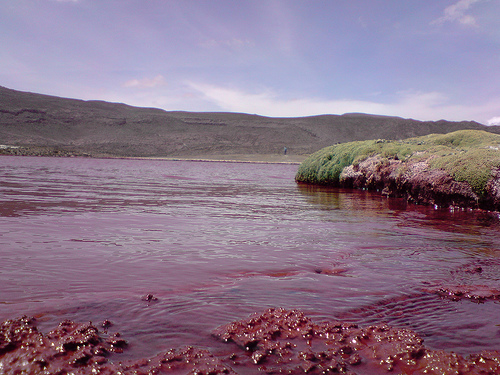 La Misteriosa Laguna Roja de Chile