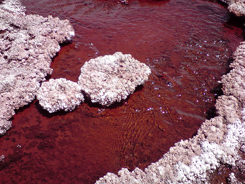 laguna roja
