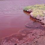 Red Lagoon of Chile
