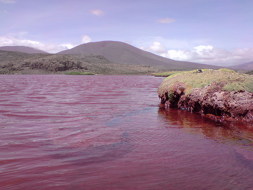 Red Lagoon of Chile