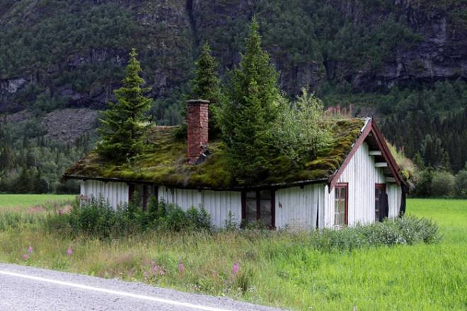 Techos de hierba de Noruega