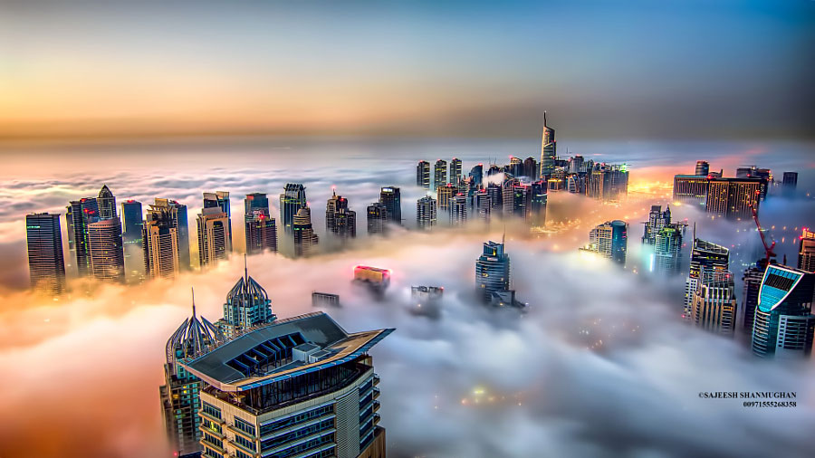 30 hermosos paisajes envueltos en la niebla