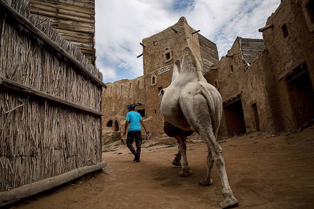 Camel in Sarai-Batu