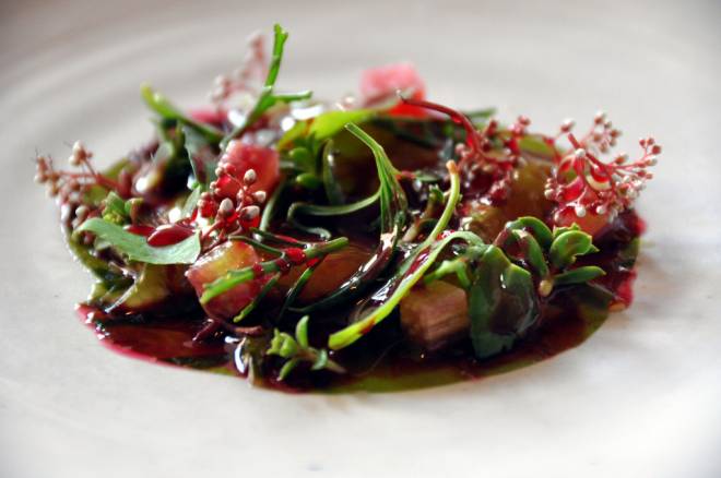 Restaurant Noma: Rå rejer med tang, rabarber og urter