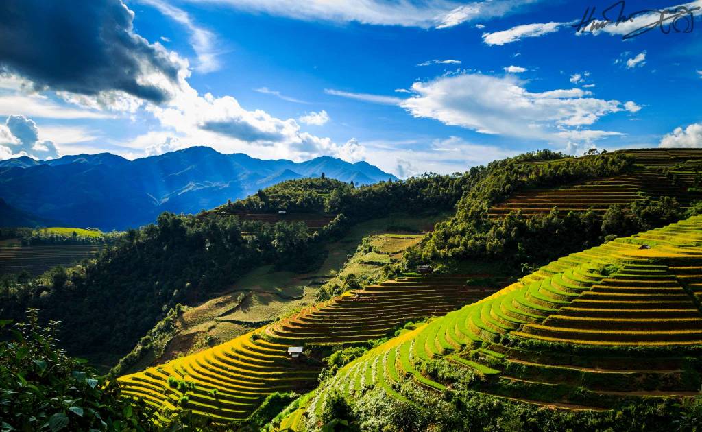 Mù Cang Chải: Vietnam