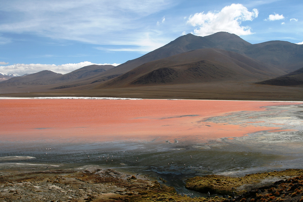 Laguna Colorada: La Laguna Roja de Bolivia