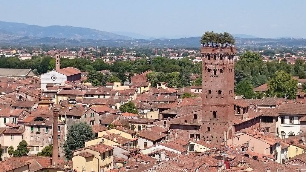 Torre Guinigi: La Torre con robles en su azotea