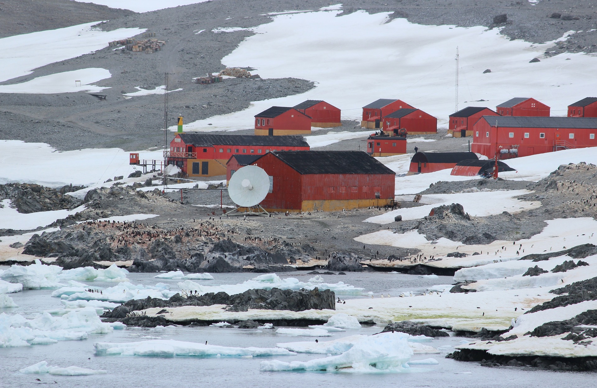 Antartida 4