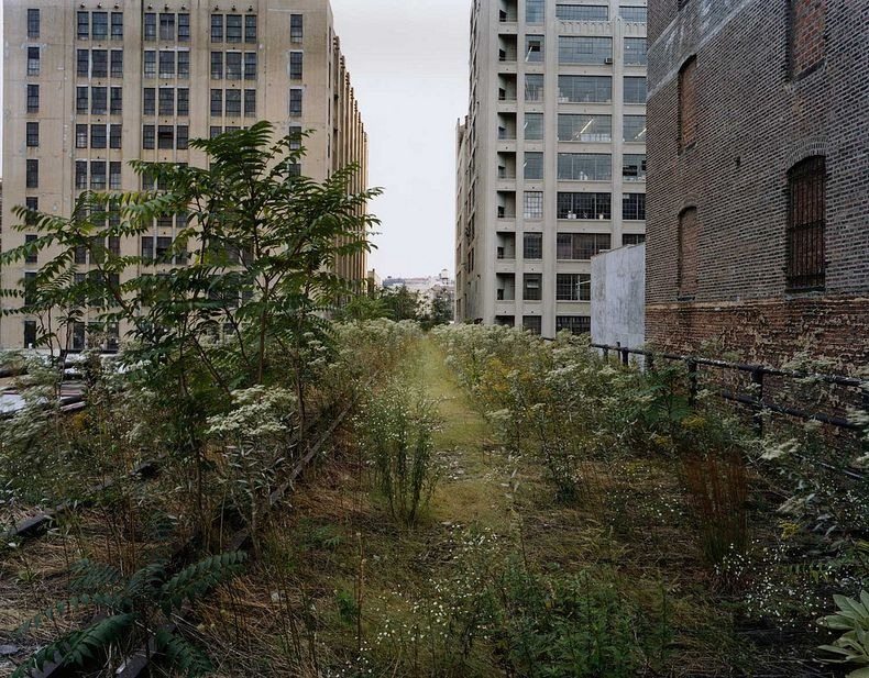 High Line - Abandoned Railway Line Becomes Elevated Park in New York