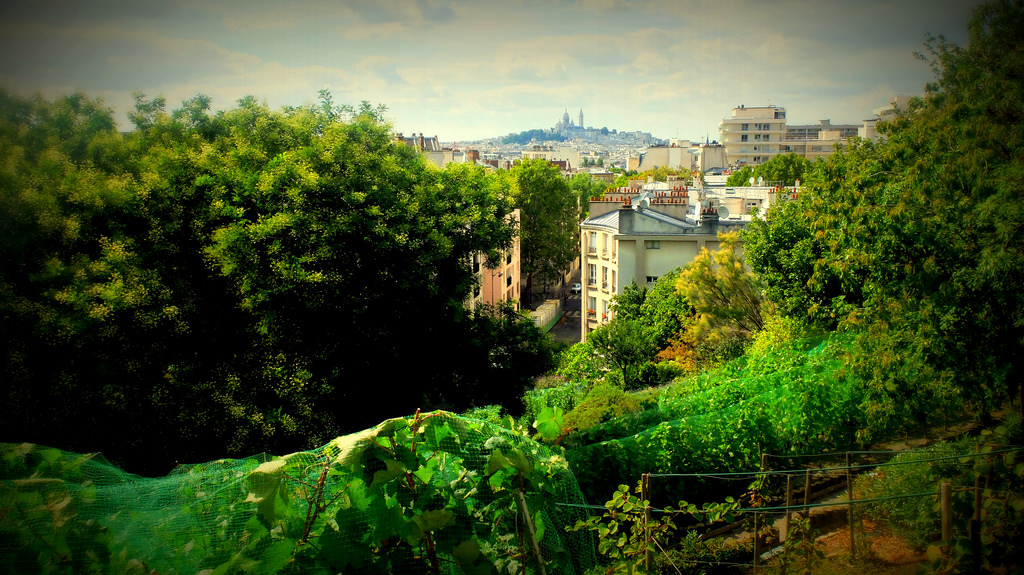 A wonder in Paris : the " Butte Bergeyre ", with the finest view on the Sacré Coeur !